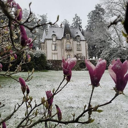 Chateau Maleplane Panzió Saint-Léonard-de-Noblat Kültér fotó