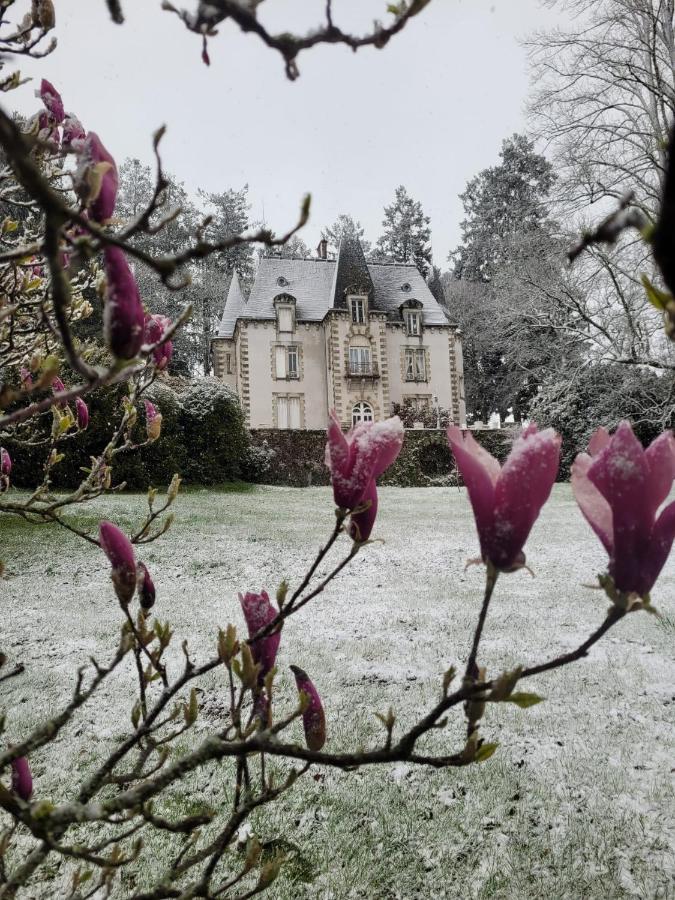 Chateau Maleplane Panzió Saint-Léonard-de-Noblat Kültér fotó