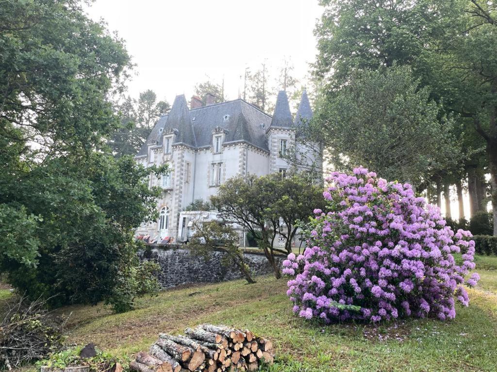 Chateau Maleplane Panzió Saint-Léonard-de-Noblat Kültér fotó