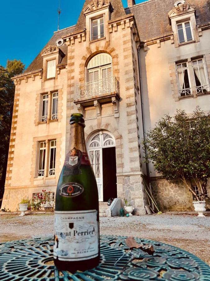 Chateau Maleplane Panzió Saint-Léonard-de-Noblat Kültér fotó