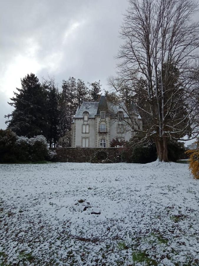 Chateau Maleplane Panzió Saint-Léonard-de-Noblat Kültér fotó