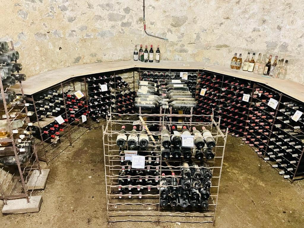 Chateau Maleplane Panzió Saint-Léonard-de-Noblat Kültér fotó
