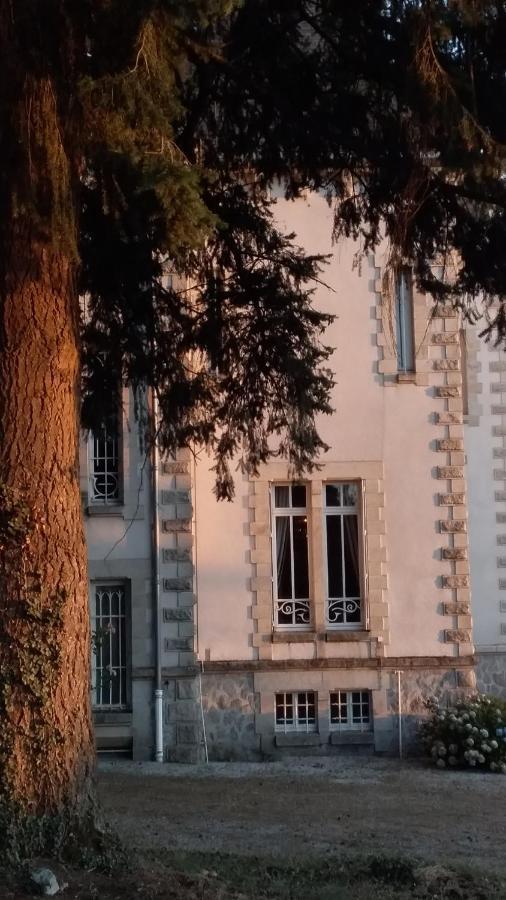 Chateau Maleplane Panzió Saint-Léonard-de-Noblat Kültér fotó