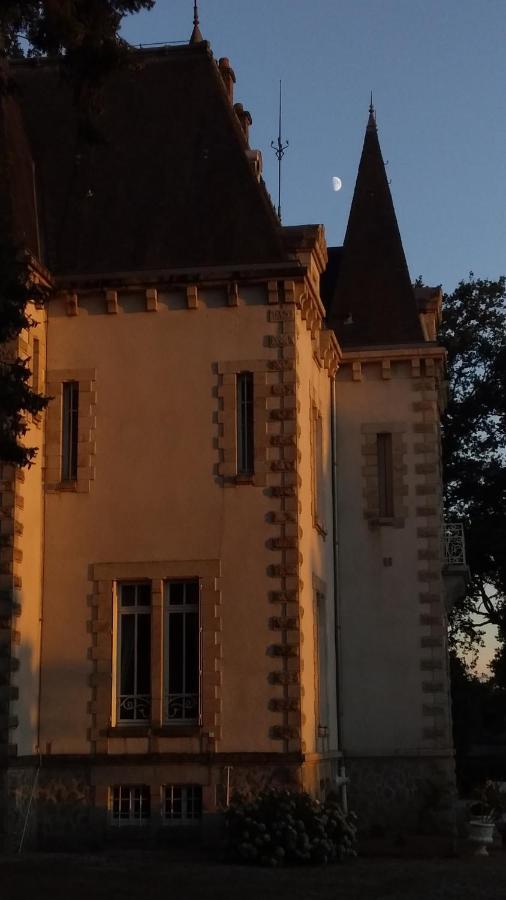 Chateau Maleplane Panzió Saint-Léonard-de-Noblat Kültér fotó