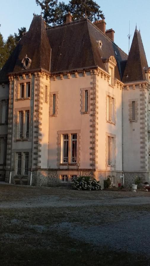 Chateau Maleplane Panzió Saint-Léonard-de-Noblat Kültér fotó