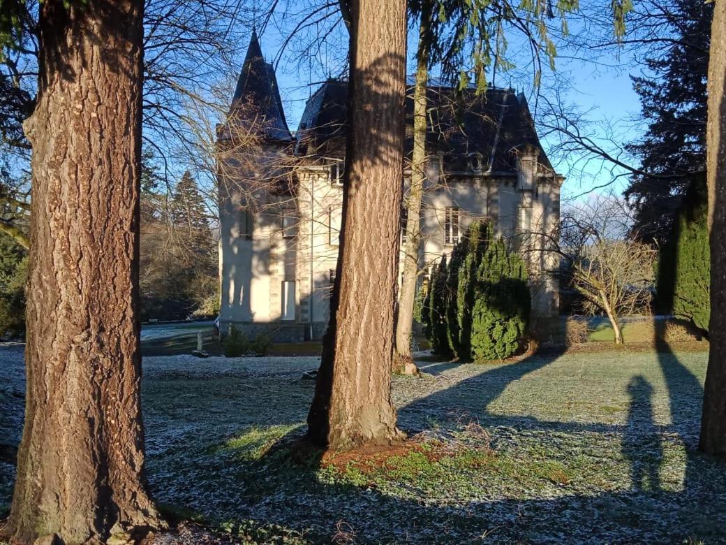 Chateau Maleplane Panzió Saint-Léonard-de-Noblat Kültér fotó
